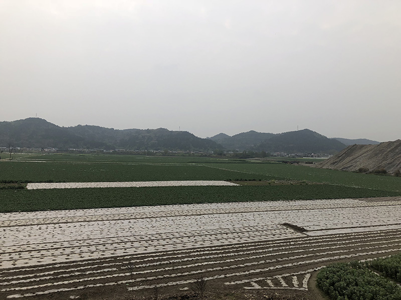 市、縣領(lǐng)導(dǎo)現(xiàn)場調(diào)研天馬50萬噸玻瓶項(xiàng)目(圖7)